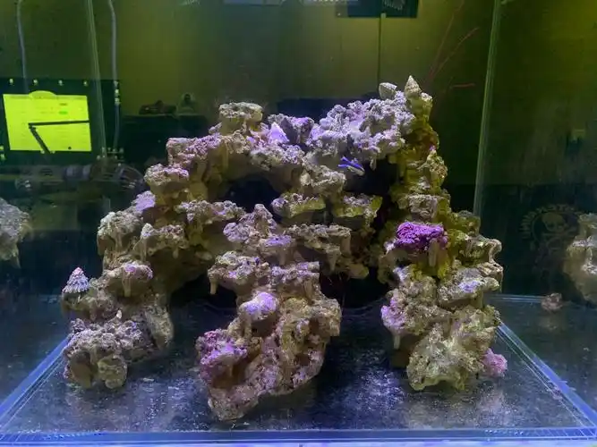 出60方造景活石帅景定制