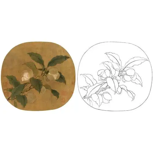 宋画花鸟小品白描底稿-佚名-夜合花图-gh33