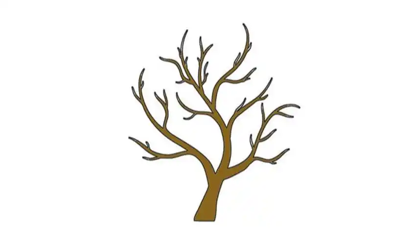 大树的简笔画彩色树干树枝