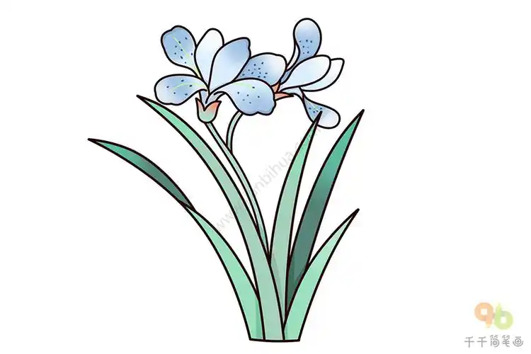 轻松画兰花简笔画