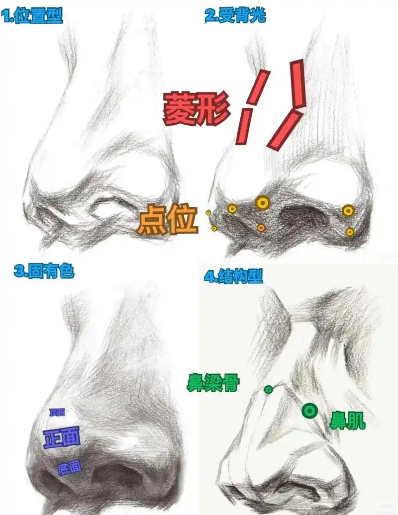 速来攻略五官6015鼻子篇73.