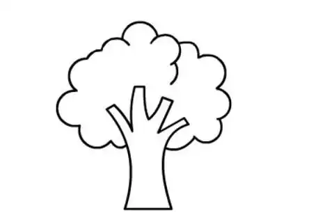 大树简笔画思维导图
