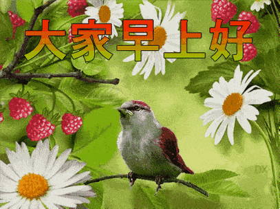 中老年表情包大全大家早上好中午好下午好晚上好问候图片