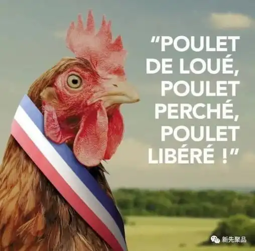 法国骄傲国宝米其林御用fermiersdeloue红标鸡