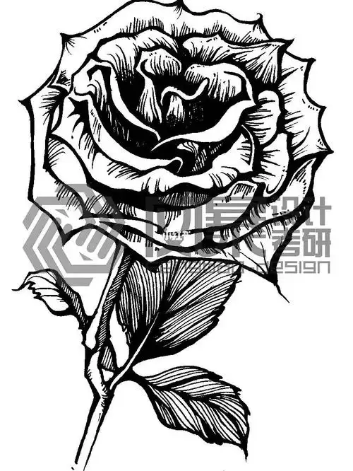 视觉传达设计  #海报设计  #郑州轻工业大学设计考研 #装饰画  #黑白