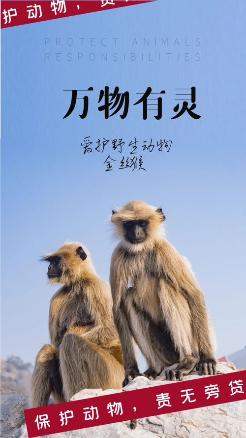 动物保护宣传海报