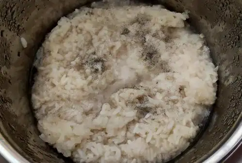 自制酒酿大失败!