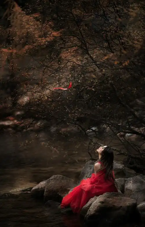 一叶小舟渡红尘