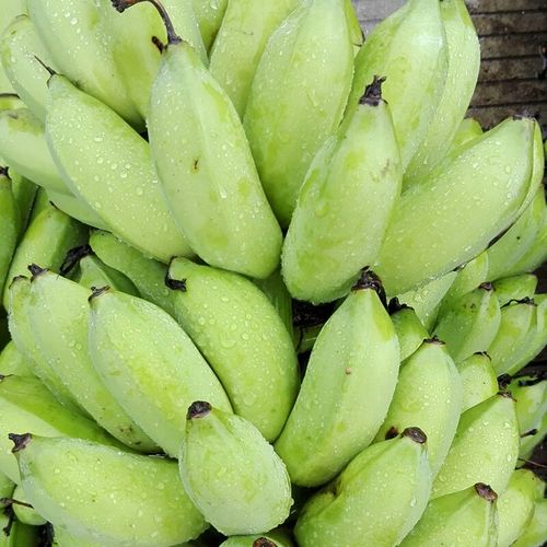 广西新鲜农家水果banana皇帝焦芭蕉净重9斤包邮现摘现卖无催熟剂