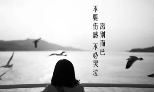 伤感的句子带人生感悟 令人忧伤的人生哲理句子7,你怎么好意思质问我