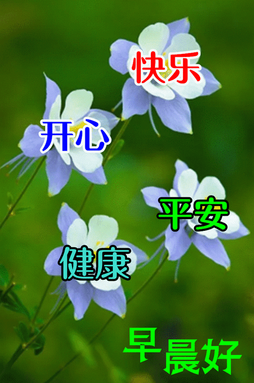 暖心的早安问候美句,早上好祝福带字图片