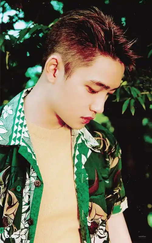 exo夏日四辑 #the war# #ko ko bop# 专辑内页