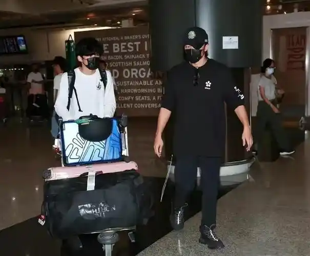 张柏芝|谢振轩|当红女星