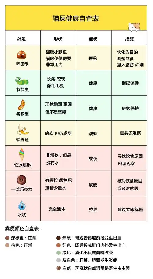 如何通过猫咪的便便来判断猫咪的健康情况?