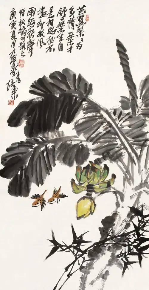 芭蕉叶叶为多情