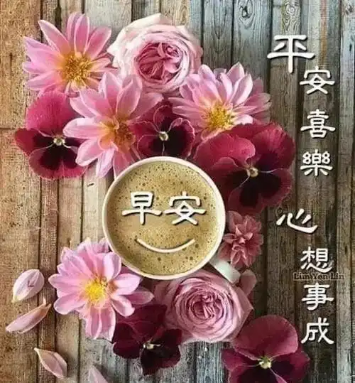 朋友圈最新漂亮正能量早上好问候表情图片最美早安祝福语大全