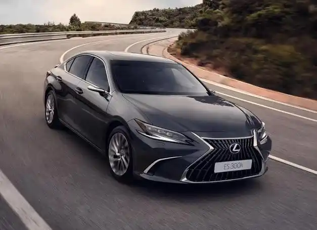 硬生生被国人捧上天的10款伪豪车国外没有人要国内当成宝