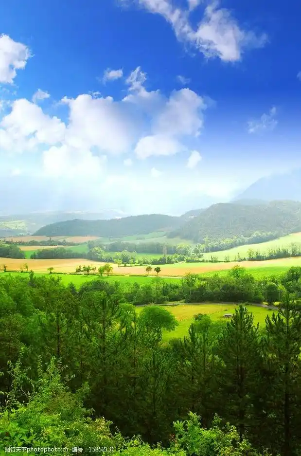 绿色大自然风景图片