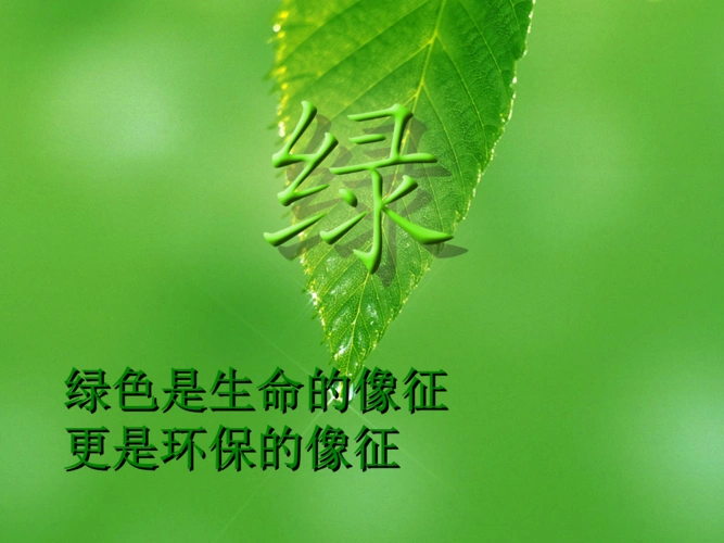 绿色是生命的像,更是环保的像征-硅微粉.ppt