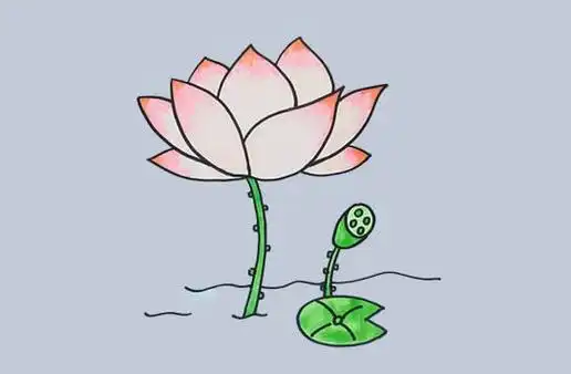 荷花怎么画简笔画