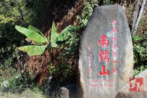 西双版纳南糯山半坡老寨和她的茶王树_生态_poco摄影,生活印象集,在