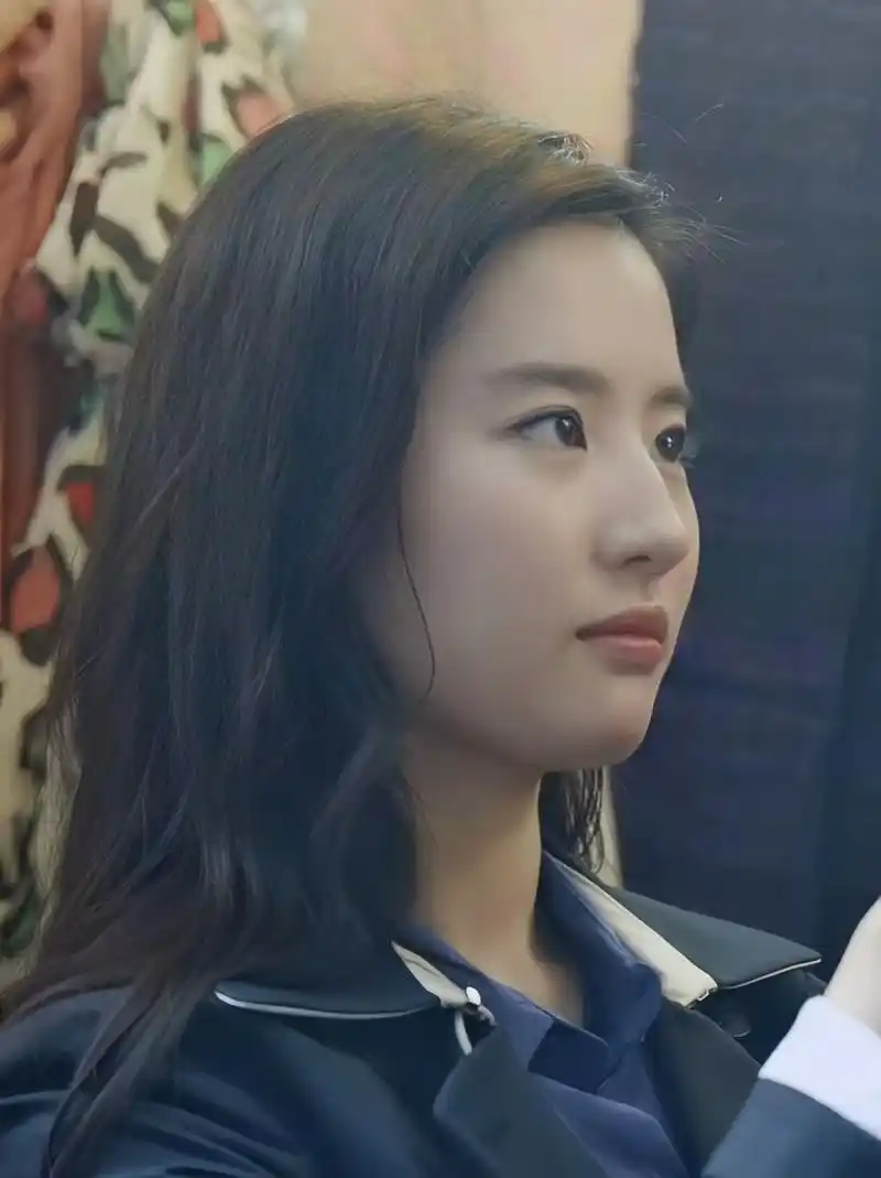 刘亦菲的美丽实在是令人惊叹,特别是她的侧脸,简直是无与伦比的美丽.