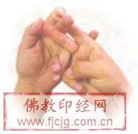 秽迹金刚大权神王佛手印