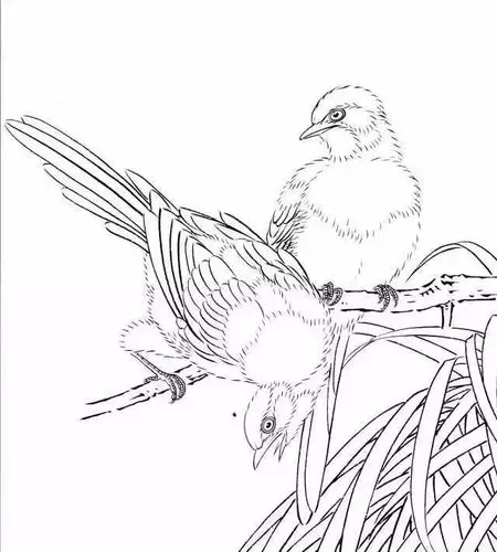 传统白描线条要求和图谱示例