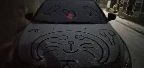 可幸运的是,它似乎喜欢我们家的车诶!那我就在车上画画吧!