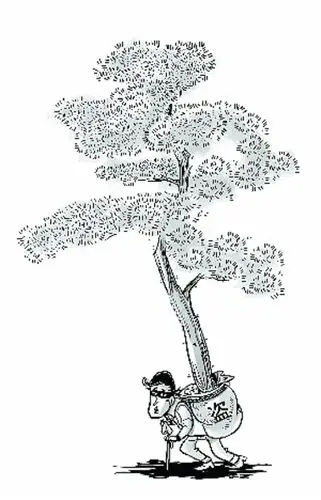 偷盗31棵铁树骗公司报销名校毕业生二进宫