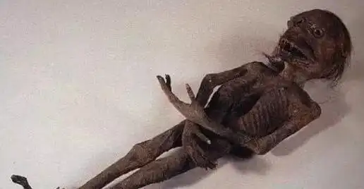 水猴子就是水鬼真的会吃人水猴子水鬼图片太恐怖了3