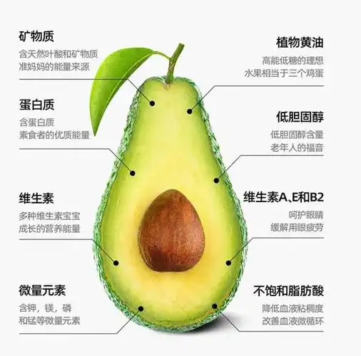 【现在现发】云南孟连国产特级哈斯hass牛油果新鲜水果大果 特大果单