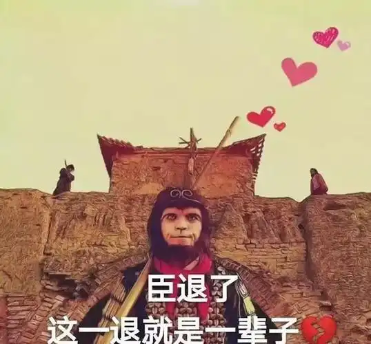 臣,退了,这一退就是一辈子!