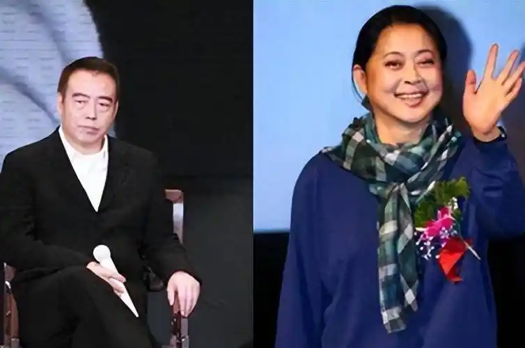 大导演陈凯歌怎么也想不到,自己亲手挖了这么大一个坑_美国_洪晃_电影