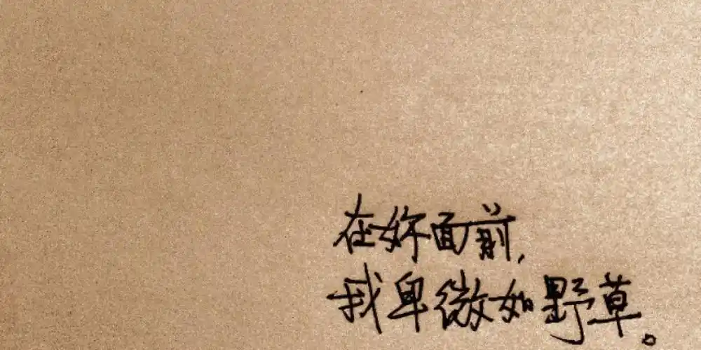 在你面前.我卑微如野草.