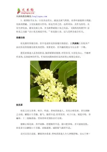 【2017年整理】桂花茶的功效与作用 桂花各种做法大全 食用桂花的禁忌