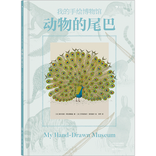 动物的尾巴(精)/我的手绘博物馆