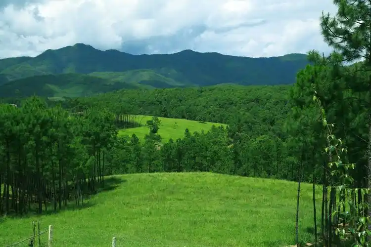 当前位置:关注森林>地方林草动态>云南>正文林海之中,如银丝带的瀑布