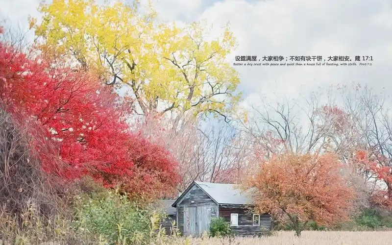 圣经经文,基督教壁纸,bibile圣经经文壁纸图片