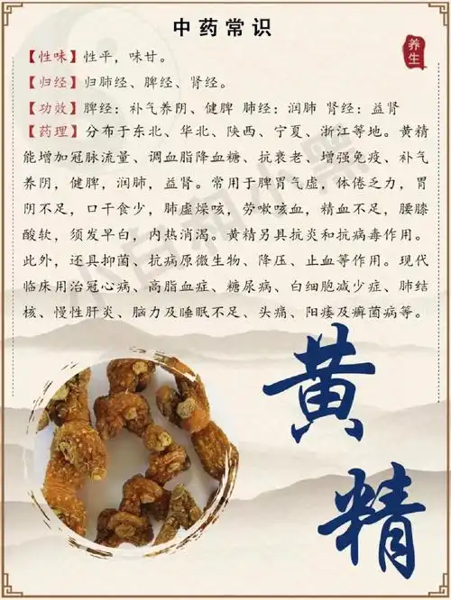 黄精的功效1,上补肺(阴虚肺燥