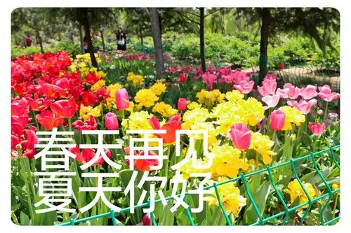 在这样的季节里,让我们带着爱,告别舞动着光艳的春天再见,夏天你好.