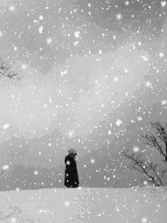 240_320竖版 竖屏gif 动态图 动图