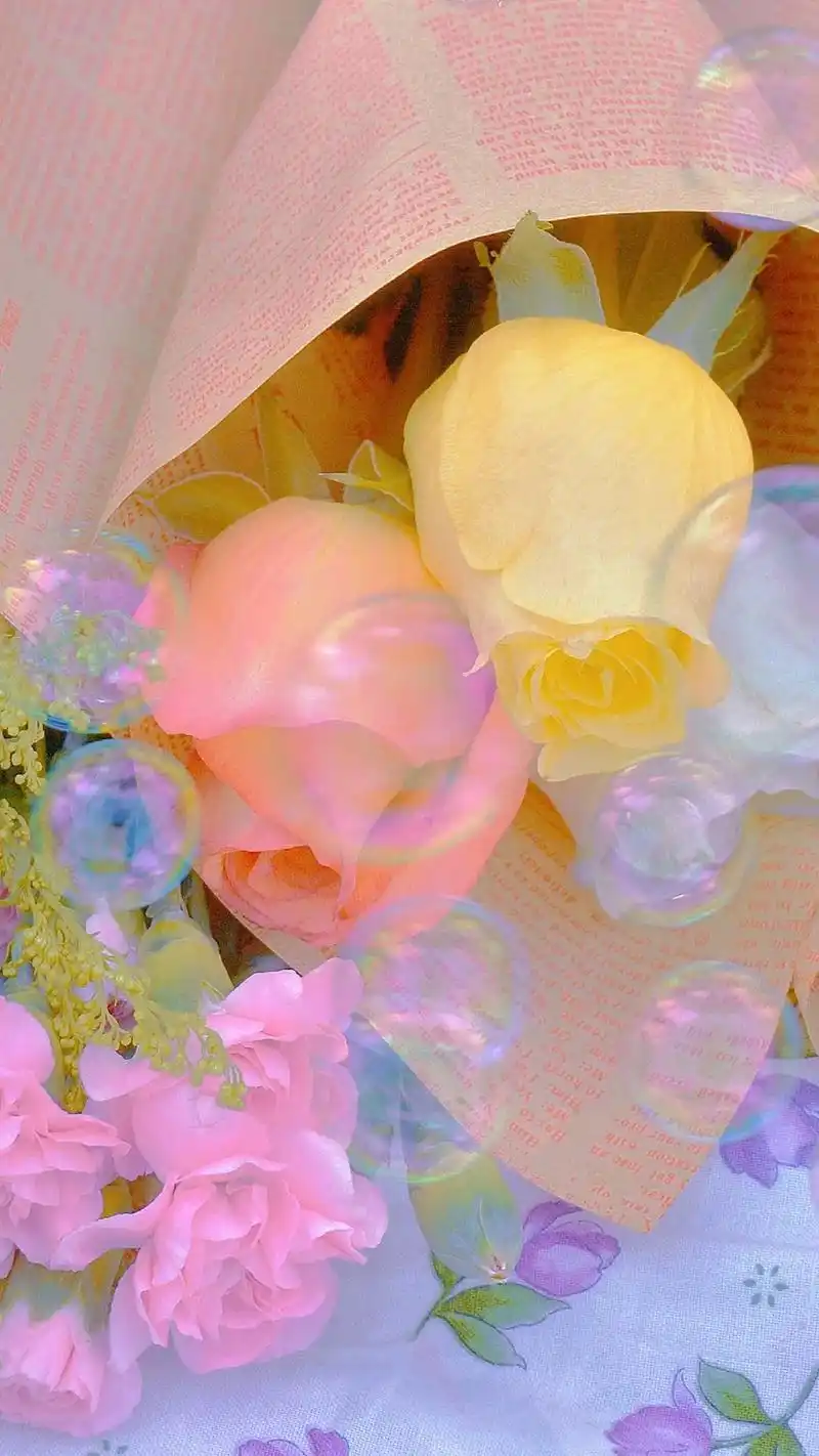 玫瑰送谁都浪漫#壁纸 #小清新 #玫瑰 - 抖音