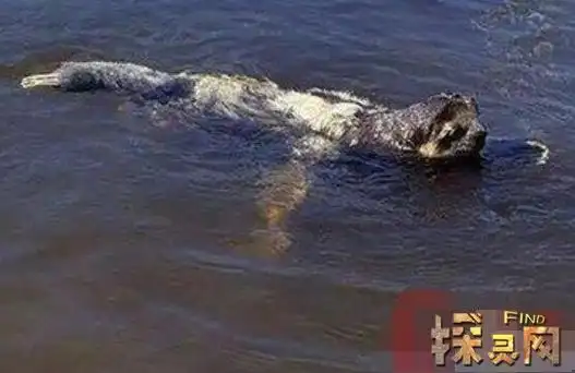 水鬼真实图片恐怖吓人的吃人恶魔奇异生物