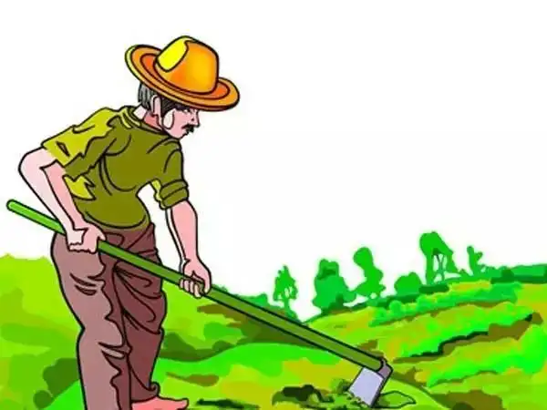 庄稼地里,农民伯伯顶着火辣辣的太阳,流着汗辛勤地播种粮食,他们是