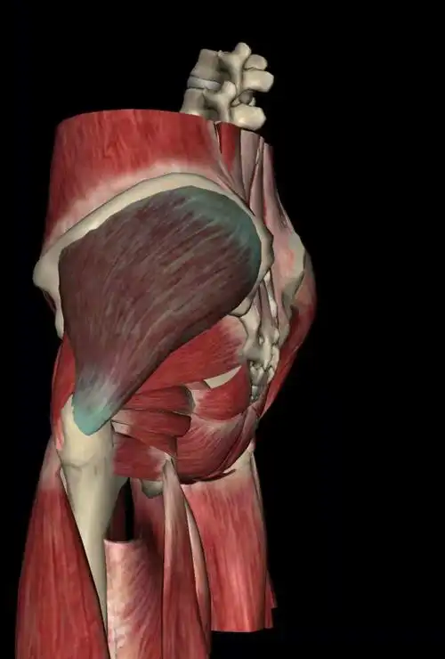 冲击波名人堂:迟冬清主任谈冲击波疗法在股骨大转子疼痛综合征中的