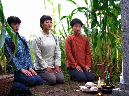 江西卫视红映《闯关东中篇》 三姐妹扮嫩