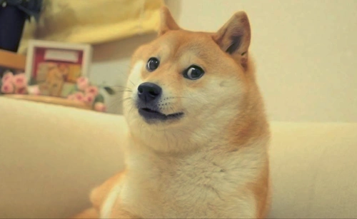 hexo 同时使用两种主题(博客与 wiki 页面实现统一管理)