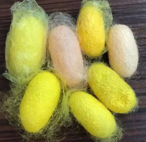 刚开始看到你,你是这么的小,像一只只小蚂蚁,人们称现在的你为"蚕蚁".