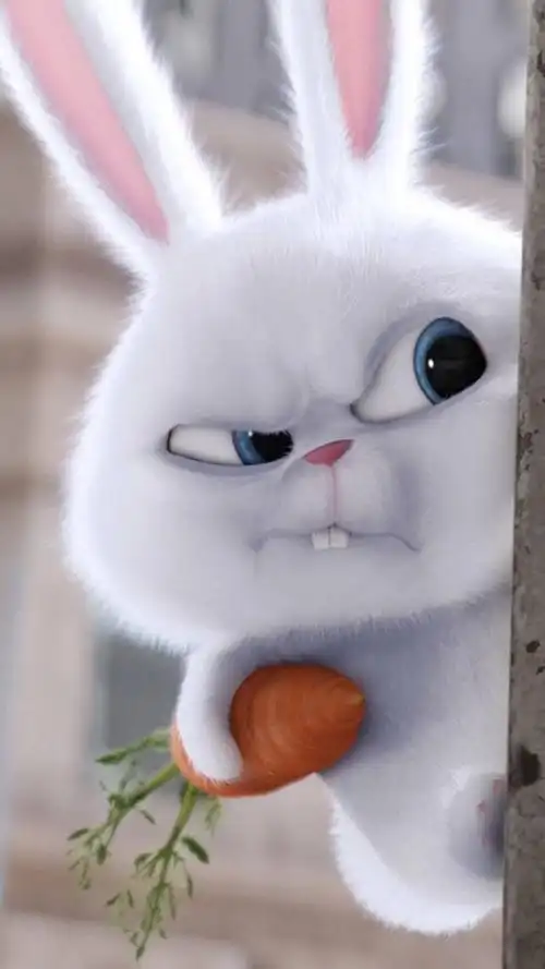 小清新/可爱/兔子/呆萌._手机壁纸_唯美其他手机壁纸_我要个性网